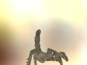 scorpion 3D Print Model