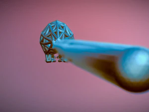 rat 3D Print Model