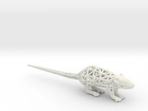 rat 3D Print Model