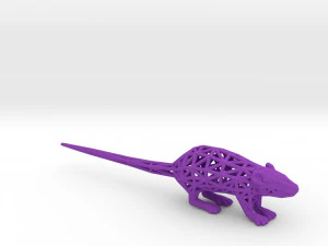 rat 3D Print Model
