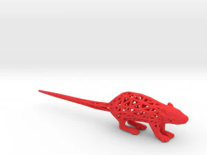 rat 3D Print Model