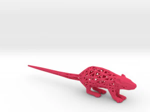 rat 3D Print Model