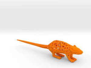 rat 3D Print Model