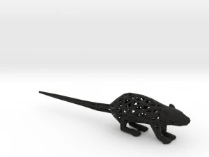 rat 3D Print Model
