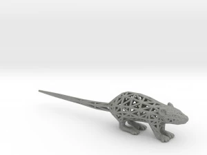 rat 3D Print Model