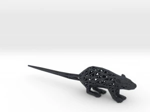 rat 3D Print Model