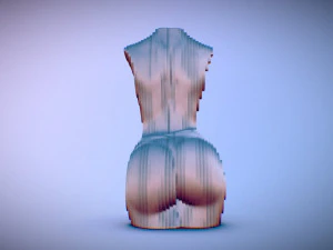 sliced female torso model 3D Print Model