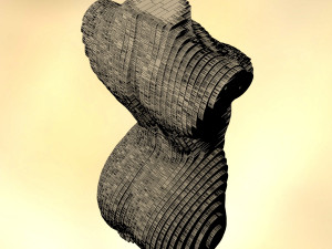 sliced female torso model 3D प्रिंट मॉडल