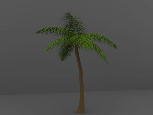 palm tree 3D Model