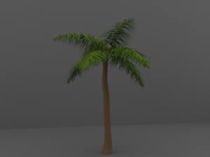 palm tree 3D Model