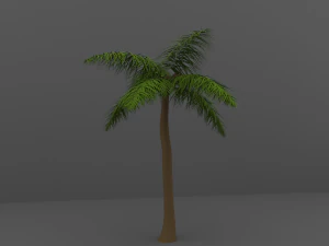 palm tree 3D Model