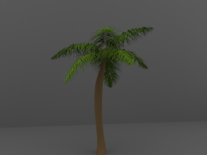 palm tree 3D Model