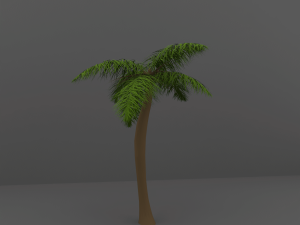 palm tree 3D Model