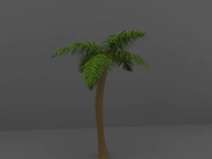 palm tree 3D Model