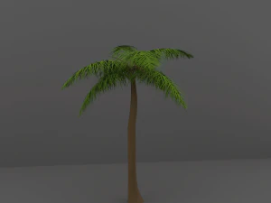 palm tree 3D Model