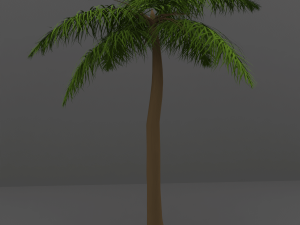 palm tree 3D Model