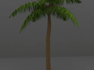 palm tree 3D Model