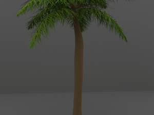 palm tree 3D Model