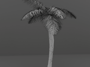 palm tree 3D Model