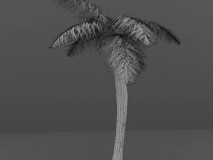 palm tree 3D Model