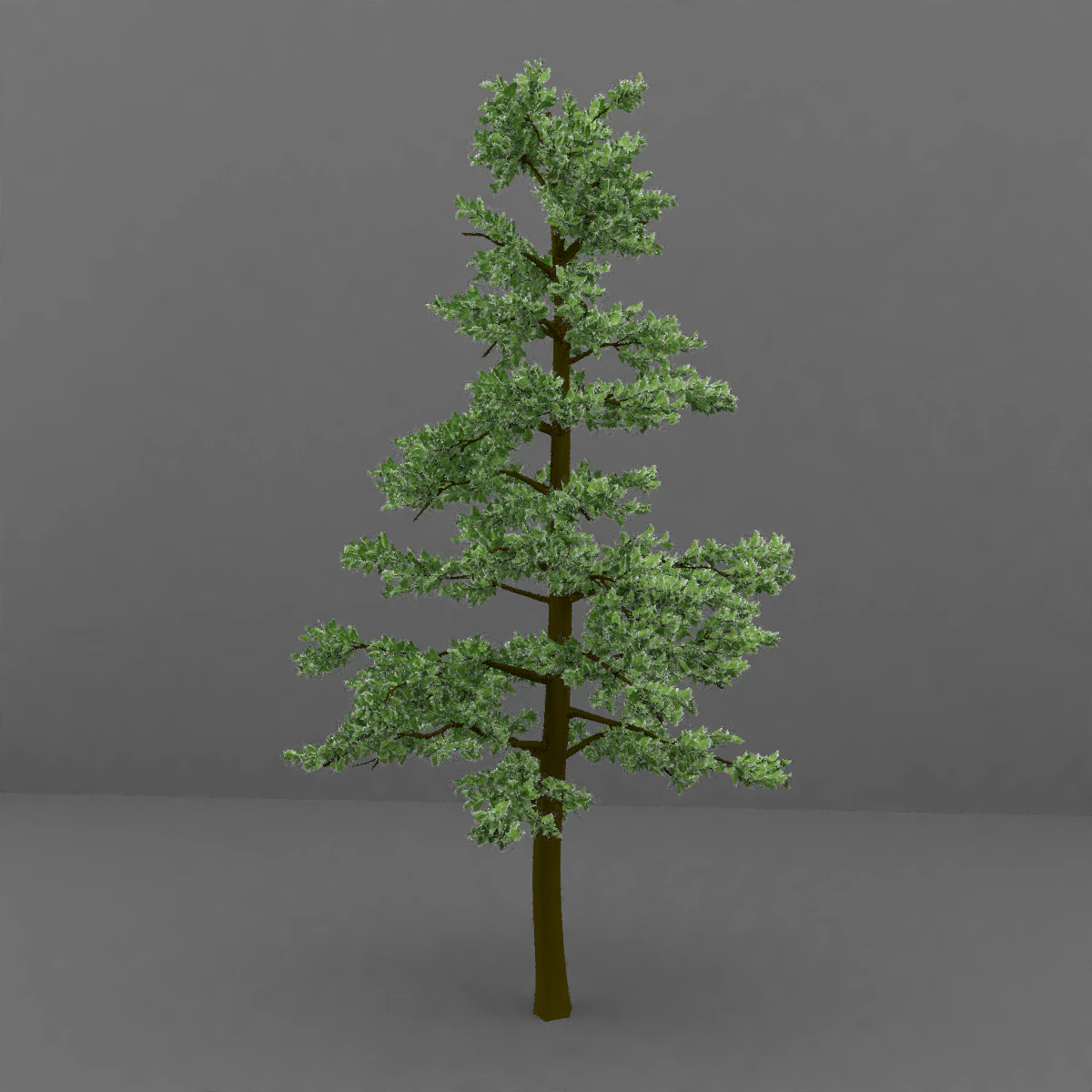 tree 3D Model .c4d .max .obj .3ds .fbx .stl .blend 