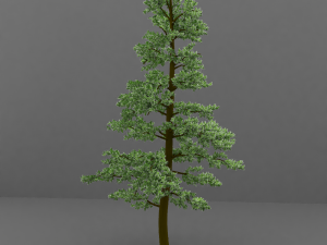 tree Modèle 3D