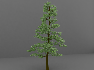 tree Modèle 3D