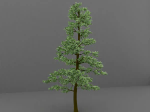 tree 3D Model
