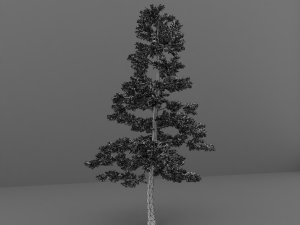 tree Modèle 3D