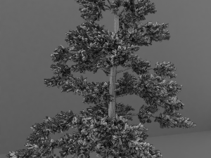 tree Modèle 3D