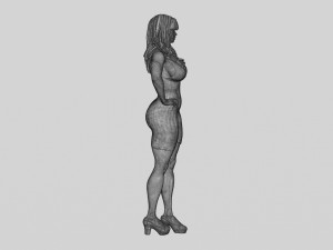 Sexy Woman in a Tight Dress 3D Print Model 3D 打印模型