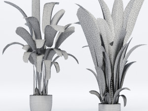 banana leaves plant 3D 모델
