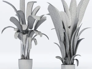 banana leaves plant 3D Model
