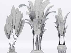banana leaves plant 3D 모델