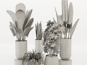 decorative indoor plant 3D Model