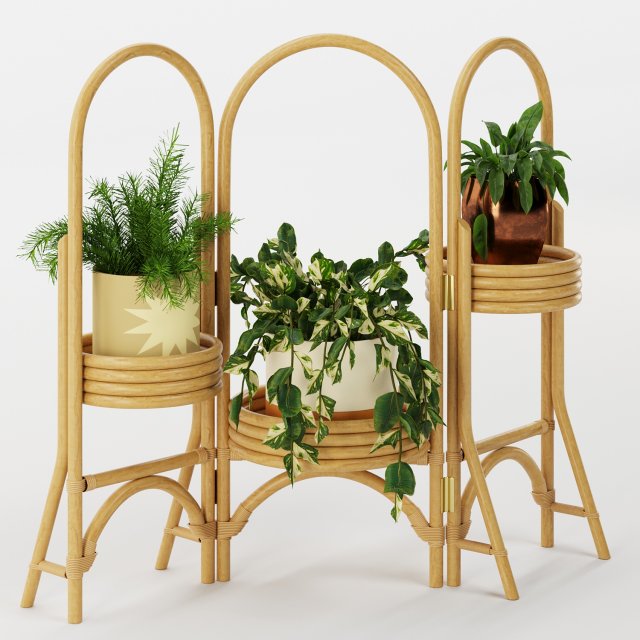 decorative plant 3D Модель .c4d .max .obj .3ds .fbx .stl .blend 