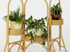 decorative plant Modelo 3D