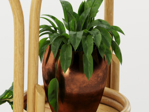 decorative plant 3D Модель