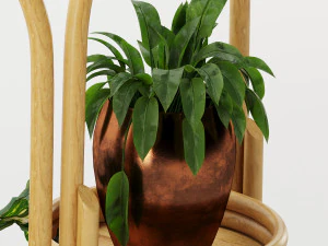 decorative plant 3D Model