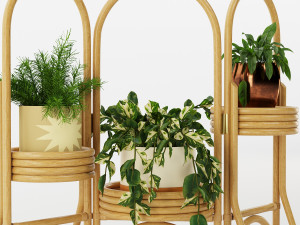decorative plant 3D Модель