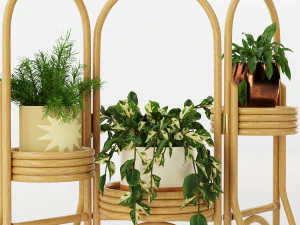 decorative plant 3D Model