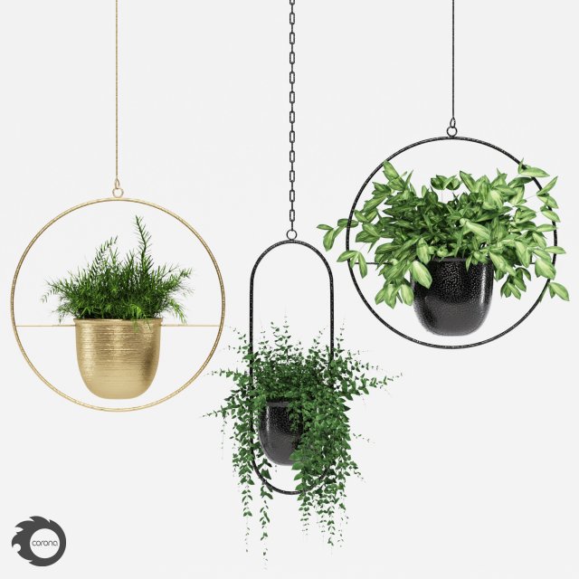hanging pots Model 3D .c4d .max .obj .3ds .fbx .stl .blend 