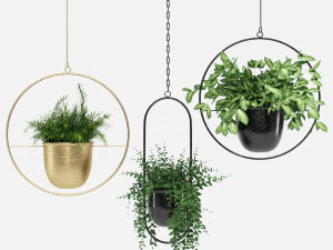 hanging pots 3D Model
