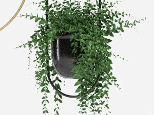 hanging pots 3D Model