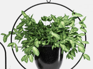 hanging pots Model 3D