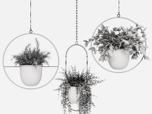 hanging pots Model 3D