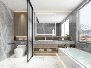 modern toilet 3D 模型