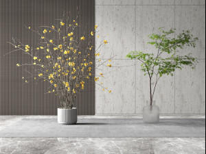 modern potted plants 3D 모델