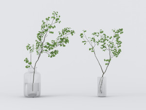 potted plants 3D मॉडल
