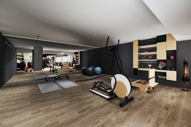 modern gym 3D Model .c4d .max .obj .3ds .fbx .stl .blend 